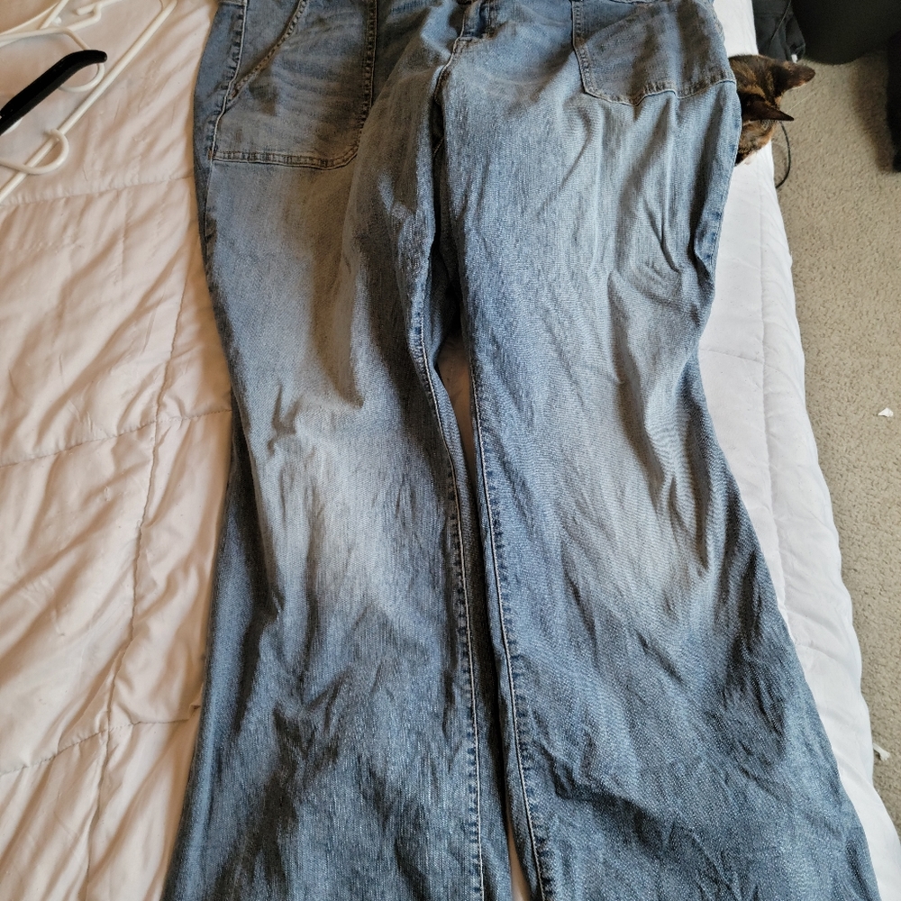 Torrid Flare Jeans